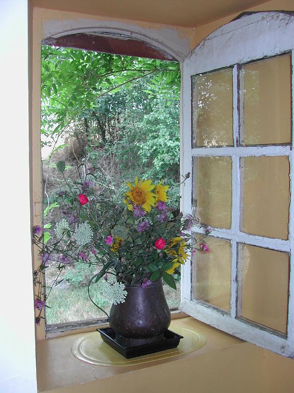DSCN1353.JPG