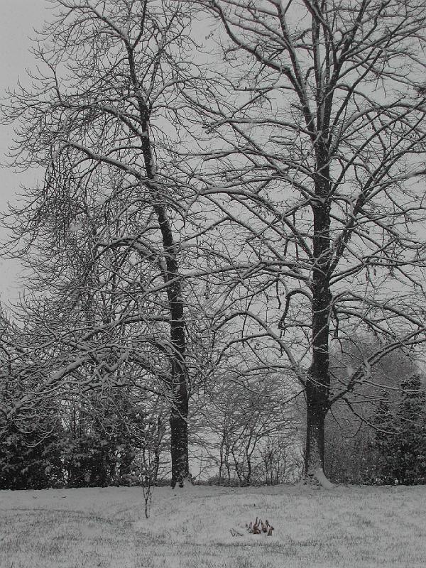 DSCN1533.JPG