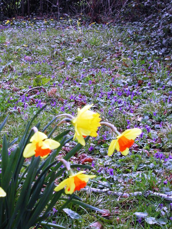 DSCN1548.JPG