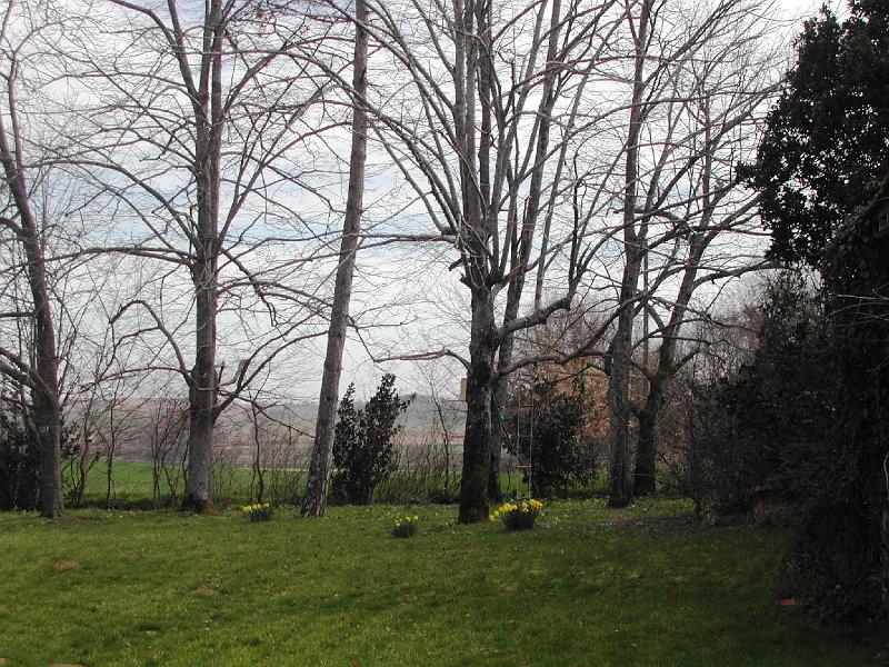 DSCN1554.JPG