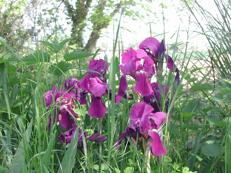 DSCN1788.JPG