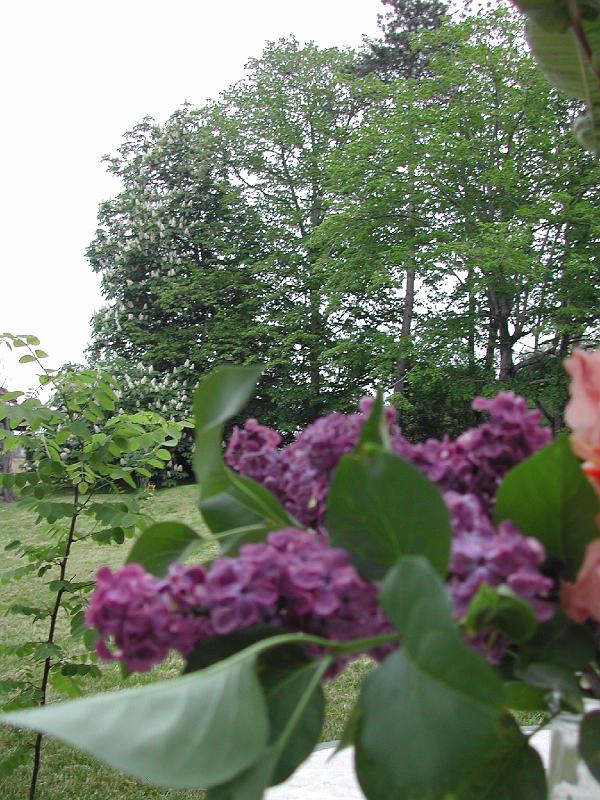 DSCN1798.JPG