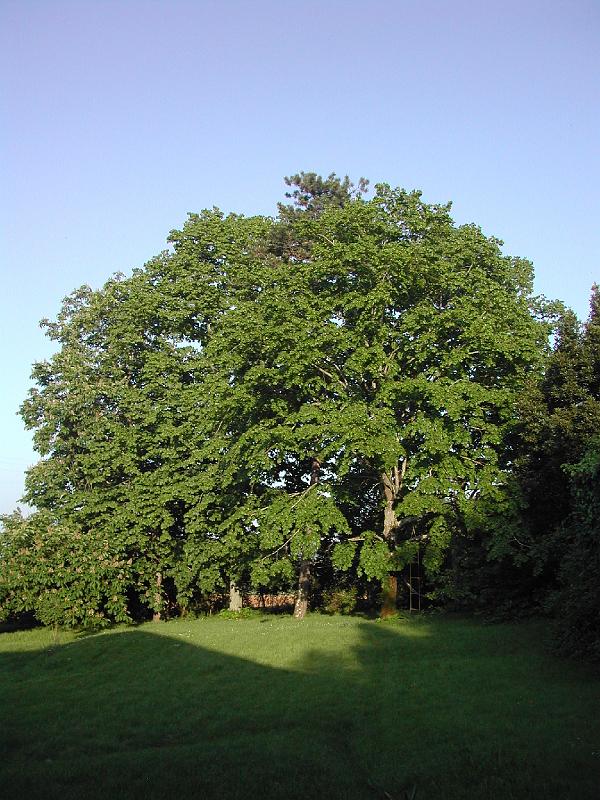 DSCN1813.JPG