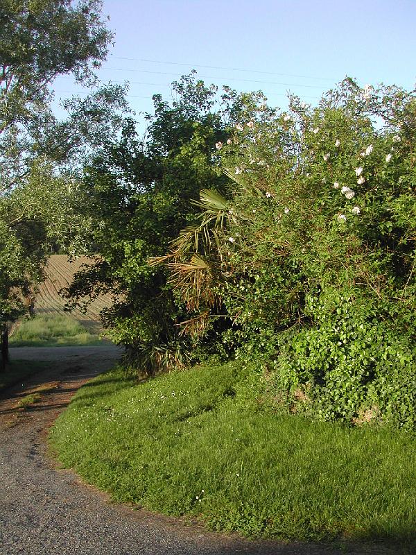 DSCN1817.JPG