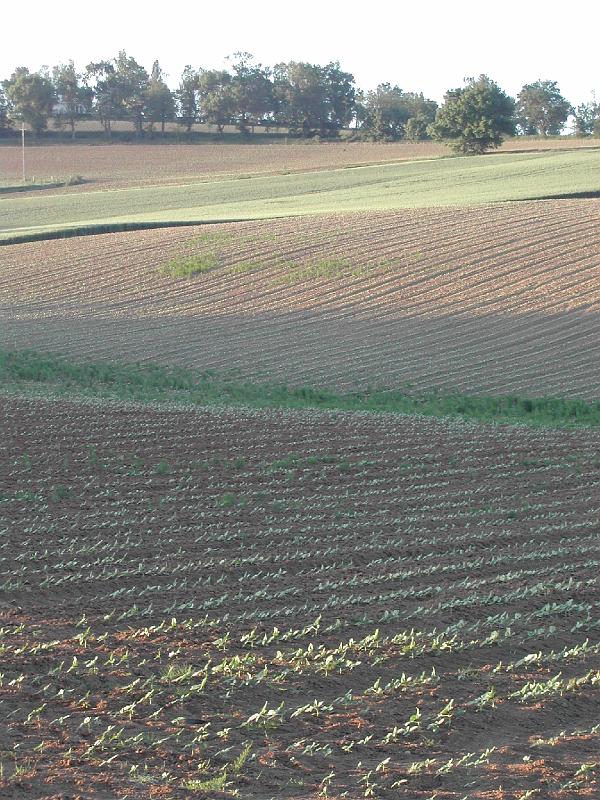 DSCN1821.JPG