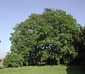 DSCN1808_short